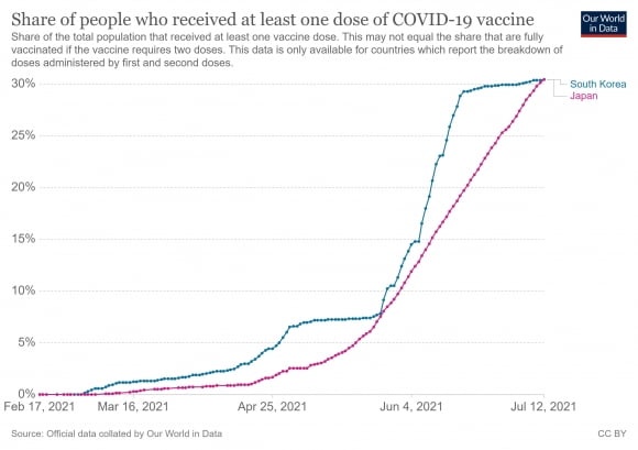 백신 접종률 비교